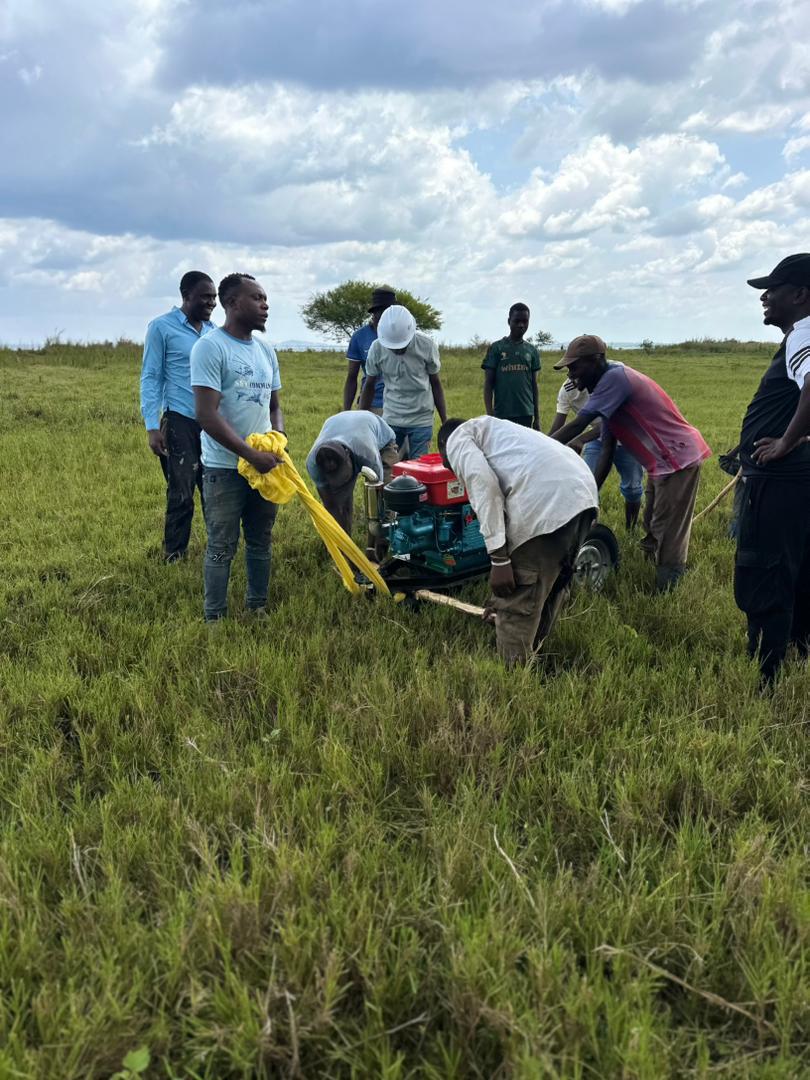 Team